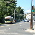 DSC_6203a.jpg