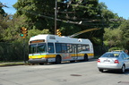 DSC_6206.jpg