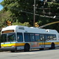 DSC_6207a.jpg