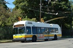 DSC_6207a.jpg