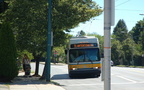 DSC_6211a.jpg