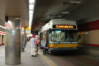 DSC_6212a.jpg