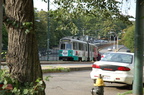 DSC_6335.jpg