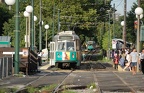 DSC_6339a.jpg