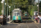 DSC_6341a.jpg