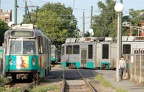 DSC_6353a.jpg