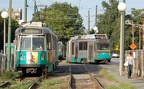 DSC_6355a.jpg