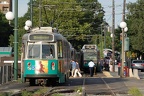 DSC_6359a.jpg
