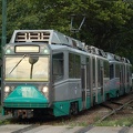 DSC_6395.jpg