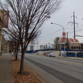 DSC_7451a.jpg