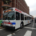 DSC_7483a.jpg