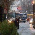 DSC_7947a.jpg