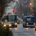 DSC_7954a.jpg