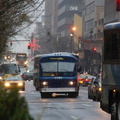 DSC_7963f.jpg
