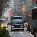 DSC_7965f.jpg