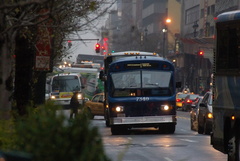 DSC_7970af.jpg