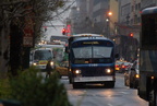DSC_7970af.jpg