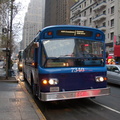 DSC_7979.jpg