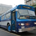 DSC_8009a.jpg