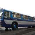 DSC_8020a.jpg