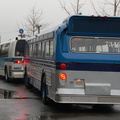 DSC_8022a.jpg