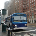 DSC_8079a.jpg
