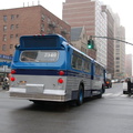 DSC_8083a.jpg
