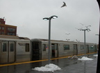 DSC_8450a.jpg