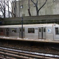DSC_8515a.jpg
