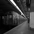 IMG_5028