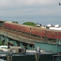 IMG_1038.jpg
