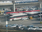 Avis RTS buses near the Federal Circle station of the AirTrain. Photo taken by Brian Weinberg, 1/11/2004.