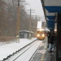 IMG_8248a