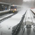 IMG_8256a