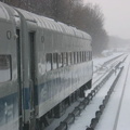 IMG_8273.jpg