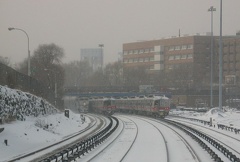 IMG_8285a