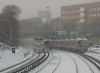 IMG_8287a