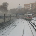 IMG_8289.jpg