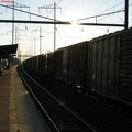 NEC Freight Train @ Edison, NJ. Photo taken by Brian Weinberg, 2/13/2004.