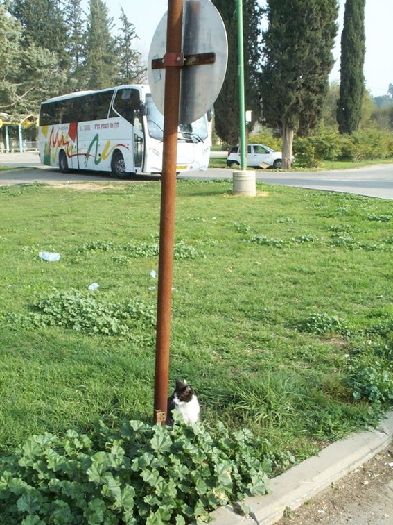 DCP_0396 - A tour bus in Israel. Photo taken by Brian Weinberg, January 2001.