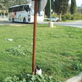 DCP_0396 - A tour bus in Israel. Photo taken by Brian Weinberg, January 2001.