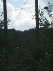 DCP_1297.JPG