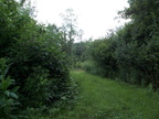 DCP_1302.JPG