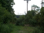 DCP_1303.JPG