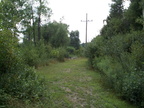 Northern Electric Railway