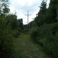 DCP_1305.JPG