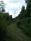 DCP_1305.JPG
