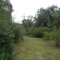 DCP_1307.JPG