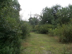 DCP_1307.JPG