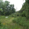 DCP_1308.JPG